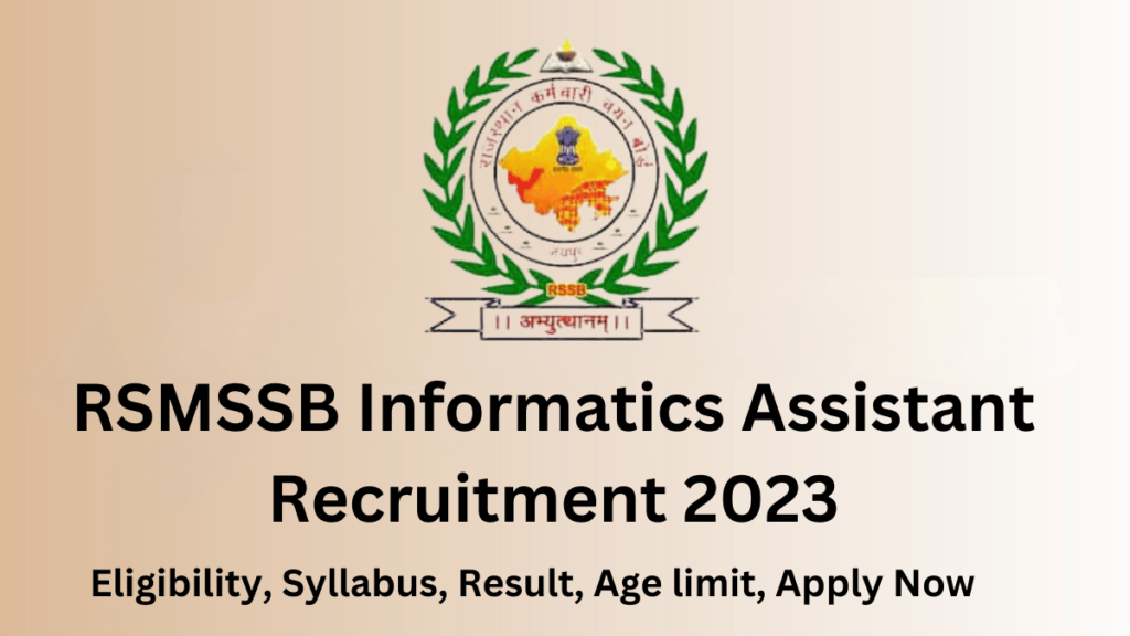 RSMSSB Informatics Assistant Recruitment 2023, resilt, Agel limit